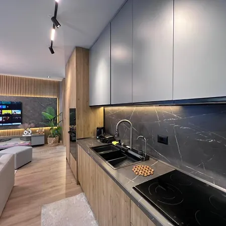 Luxury Apartment